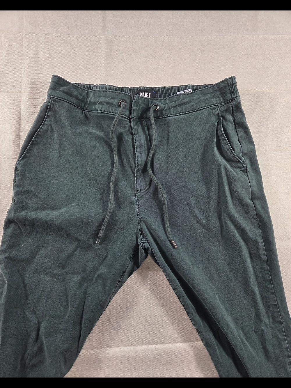 Paige Womens 34 Green Lyocell Jogger Pants Drawstring Stretch Pull On Ankle